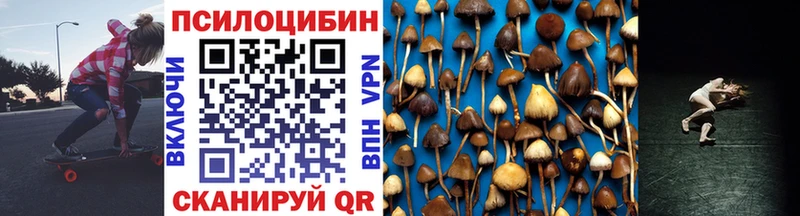 купить   Полевской  Галлюциногенные грибы Magic Shrooms 